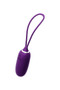 Kiwi Rechargeable Insertable Bullet - Deep Purple