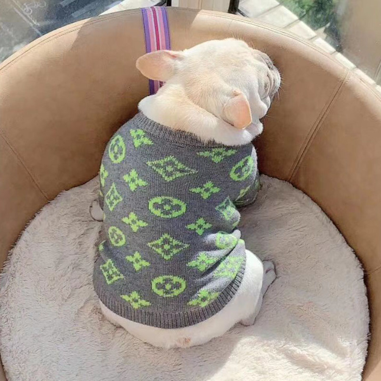 Chewy Vuitton Puppy Sweater