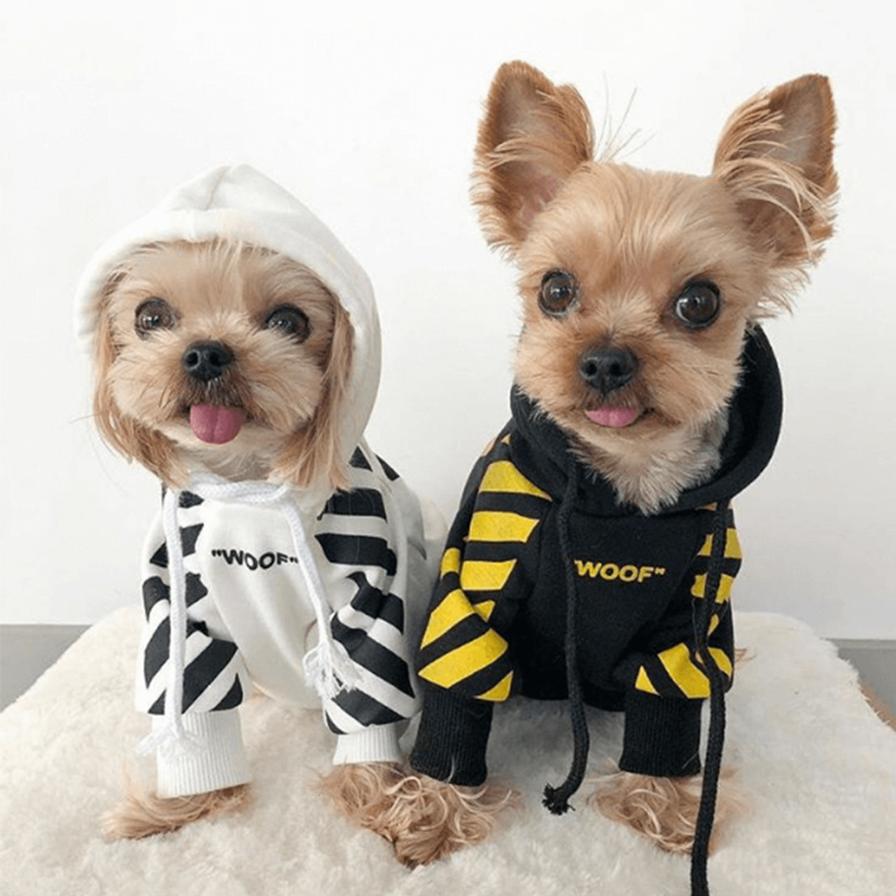 off white dog clothes