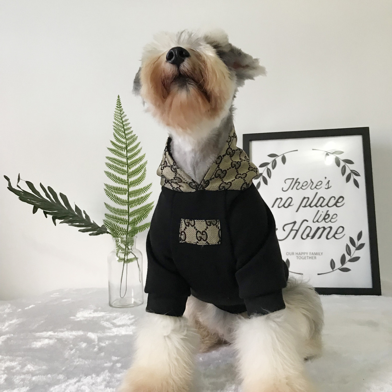 Chewy Vuitton Harness & Lead - Designer4Dogs