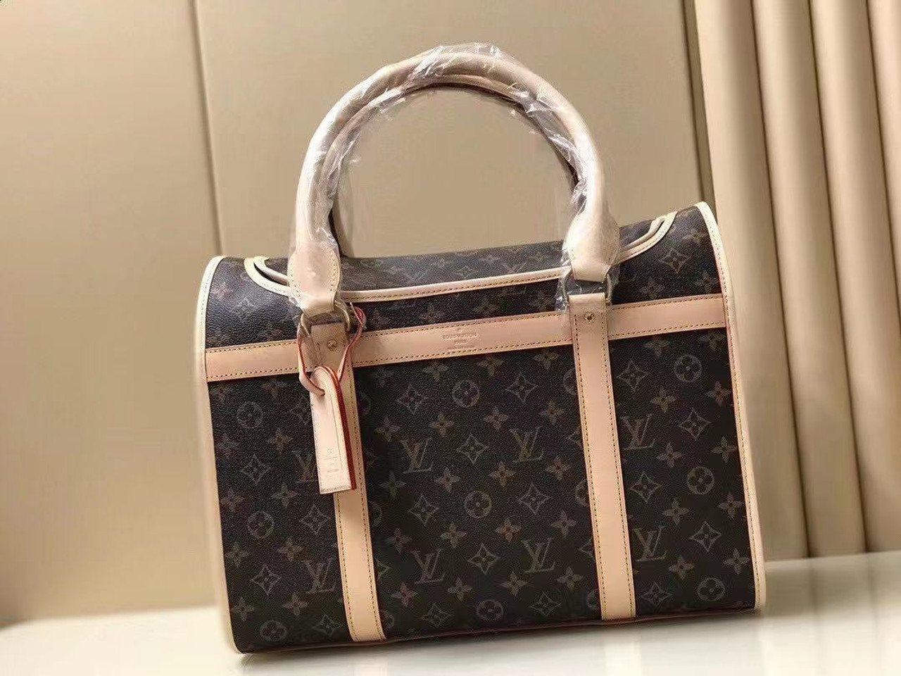 Stylish Louis Vuitton Pet Carrier - The Rich Times