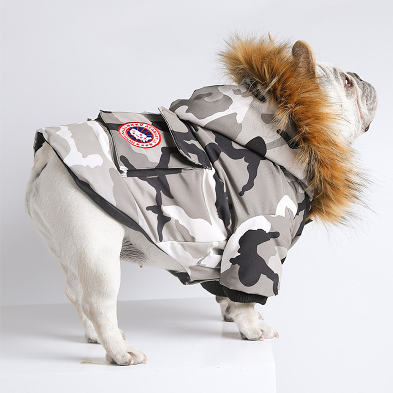 canada pooch jacket