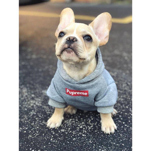 Pupreme Grey Hoodie Pupreme Grey Hoodie