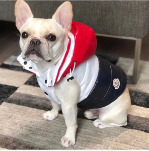 Pawcler Dog Jacket