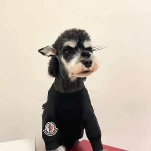 Pawcler Sweater