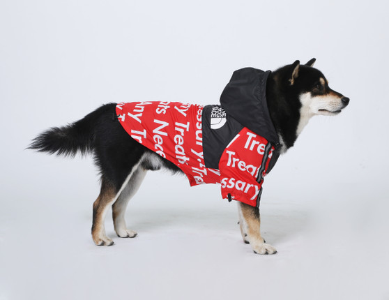 The dog face jacket pupreme Clearance
