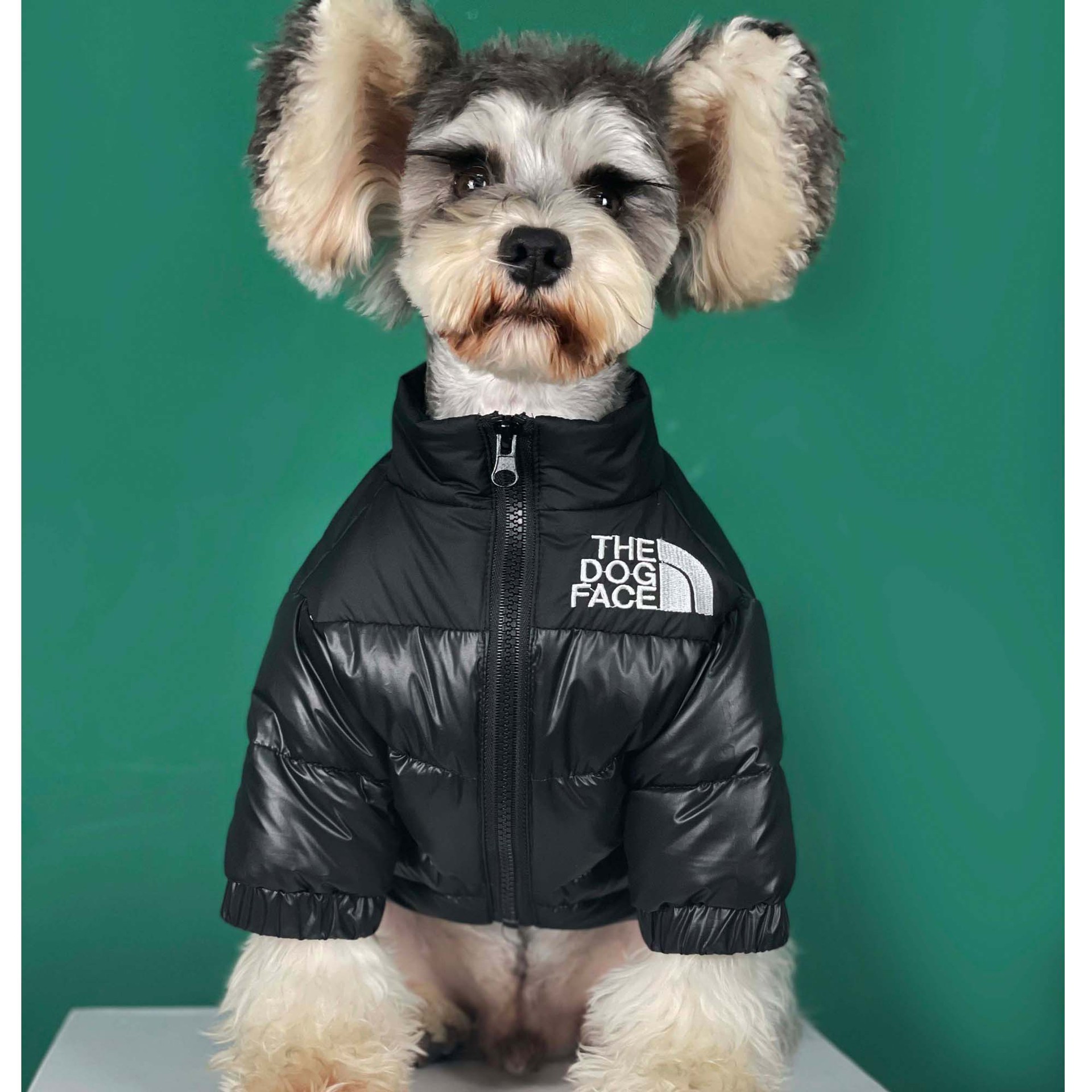 north face puffer dog