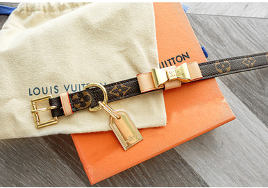 Brand New Louis Vuitton Dog Collar and Leash  Louis vuitton dog collar,  Dog collar, Dog accesories