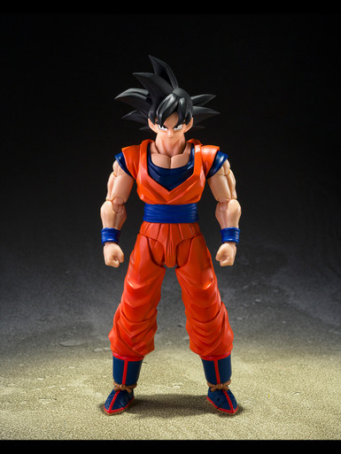 DRAGON-BALL-Z-Son-Goku-The-