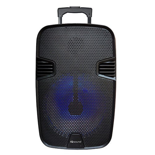 12" Portable Bluetooth DJ Speaker