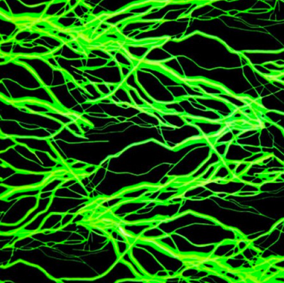 Black fabric with lime green lightning strikes