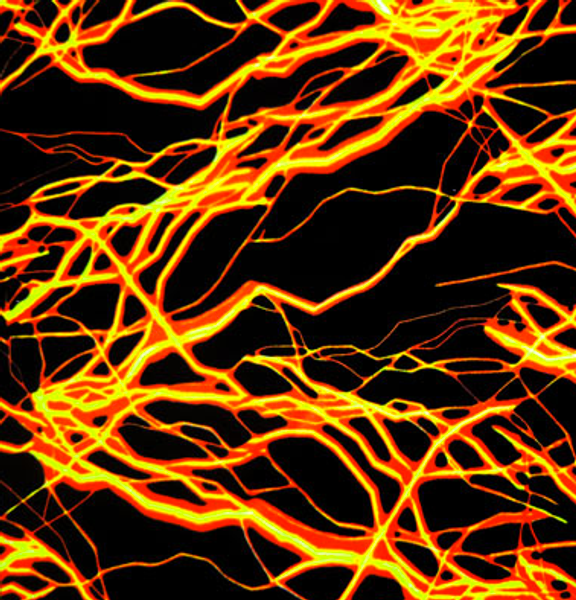 Black spandex with orange/yellow lightning strikes.
