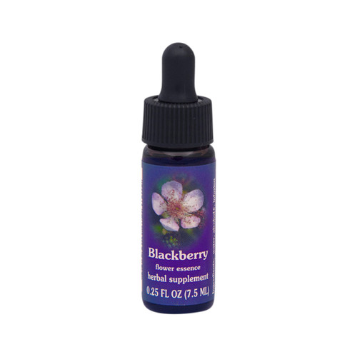 FES Quintessentials Essence Blackberry 7.5ml