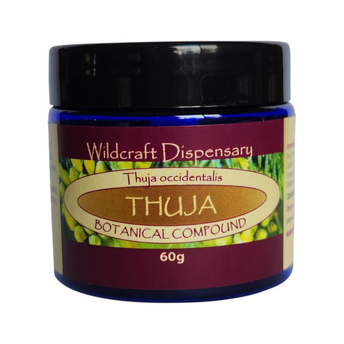 Wildcraft Dispensary Ointment Thuja 60g