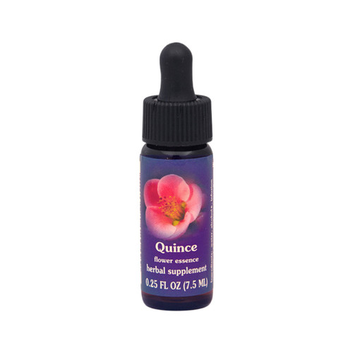 FES Quintessentials Essence Quince 7.5ml