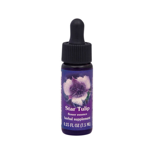 FES Quintessentials Essence Star Tulip 7.5ml