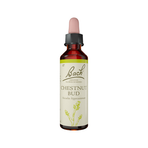 Bach Original Flower Remedies Chestnut Bud 20ml