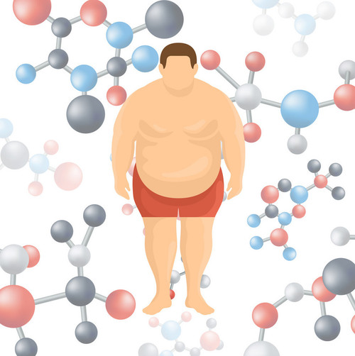 You are what you eat – are your genes making you fat?