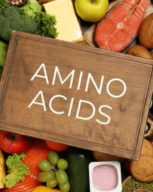 Unlocking the Power of Amino Acids for Brain Health and Overall Wellness 