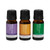 ECO Mod Ess Essential Oil Trio The Classics 10ml x 3 Pack