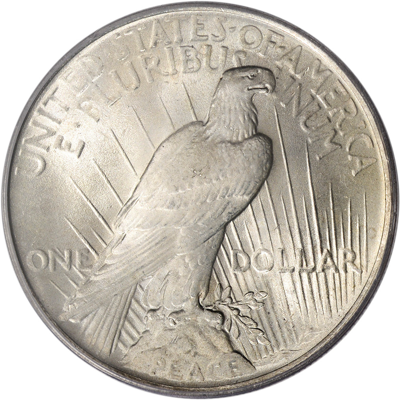 US Peace Silver Dollar - NGC MS65 - Random Date and Label [X
