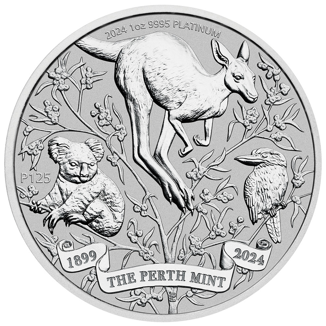 オーストラリア　the perth mint コイン　記念コイン オーストラリアの辰年記念コイン Perth mint