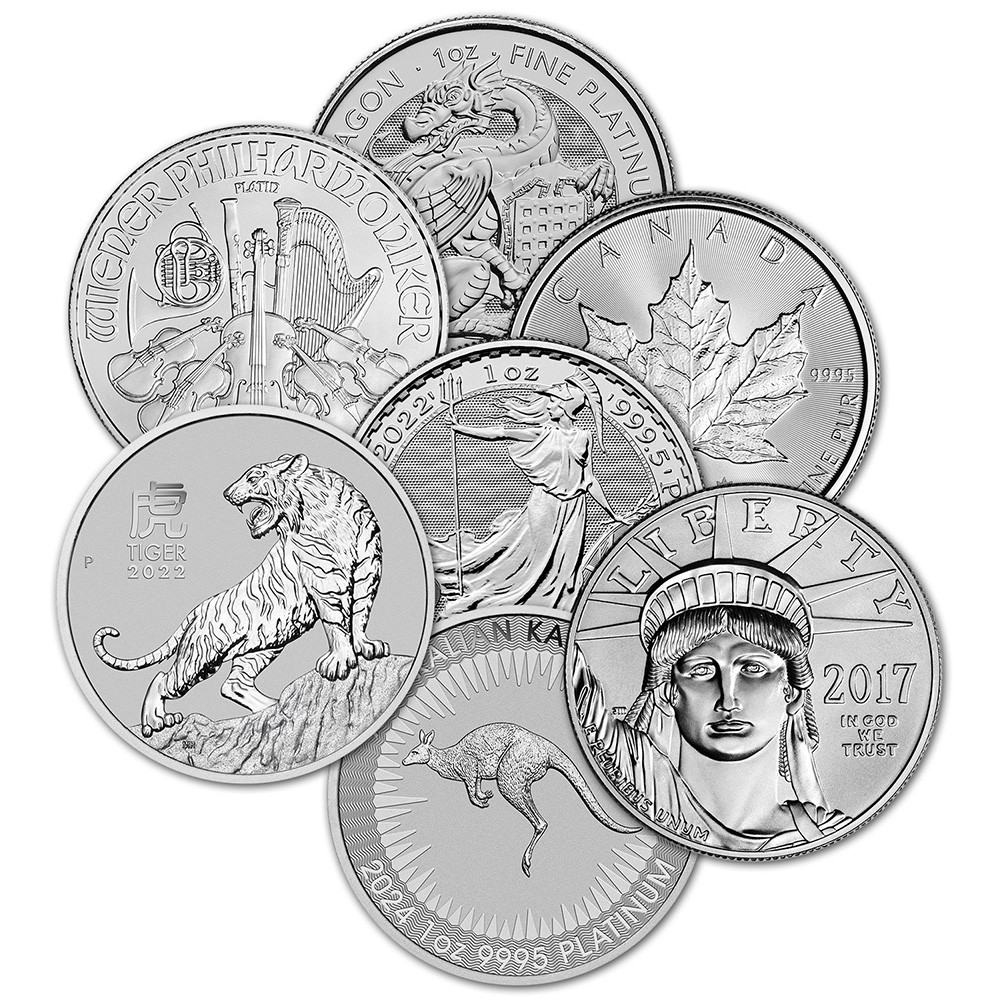 1 oz Platinum Coin .9995 Fine - Random Brand - Secondary Market [X