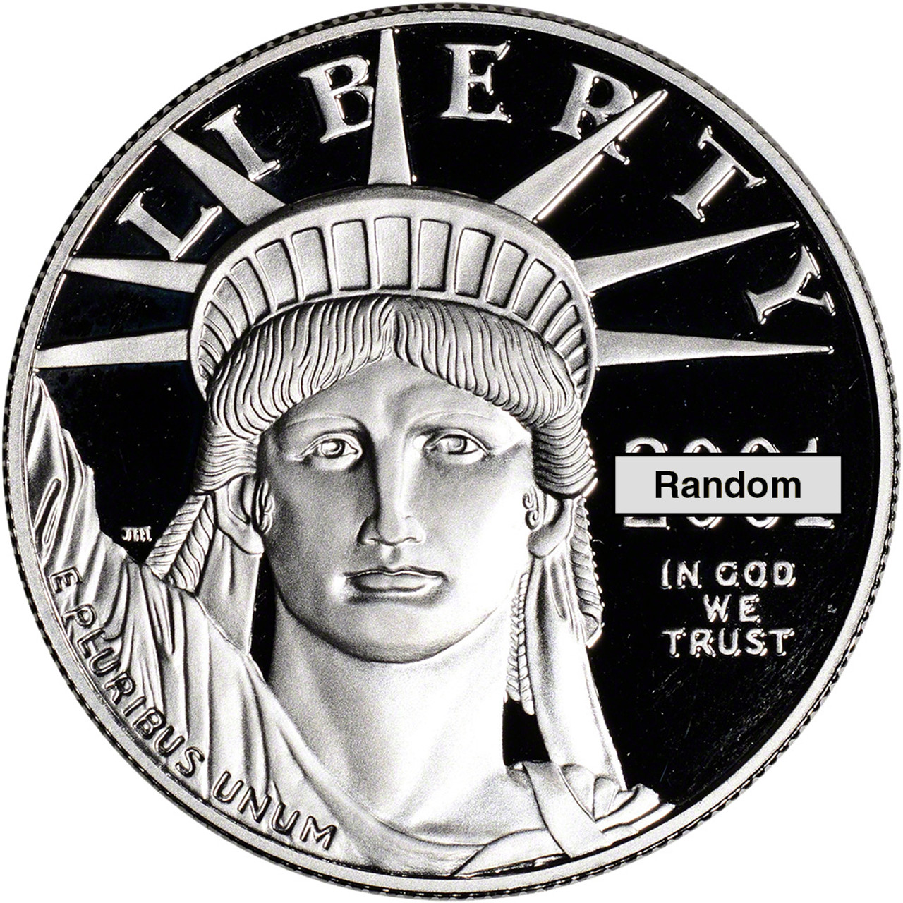 American Platinum Eagle Proof 1 oz $100 - Coin in Capsule