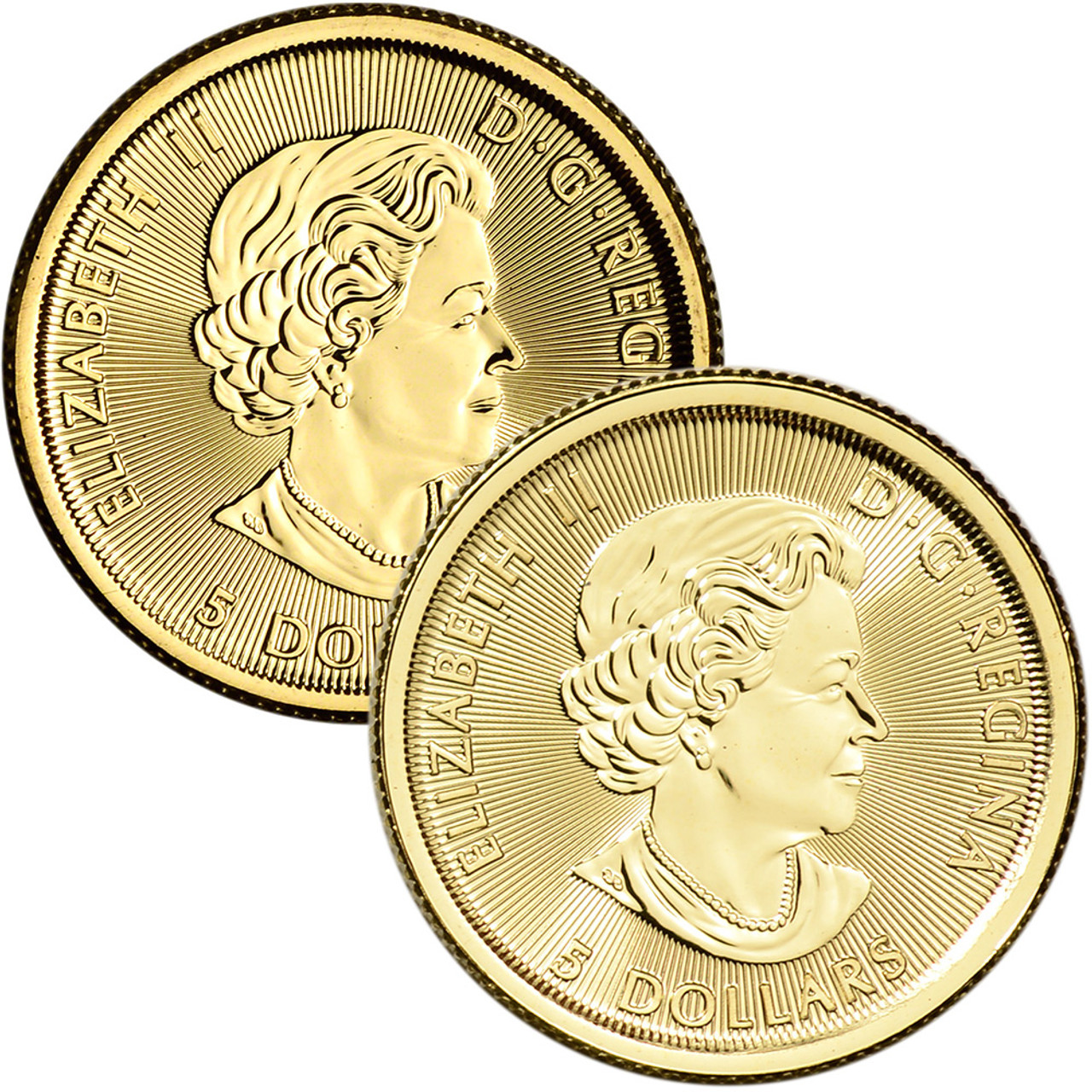 Canada Gold Polar Bear Coin 1/10 oz $5 - BU - Random Date [X
