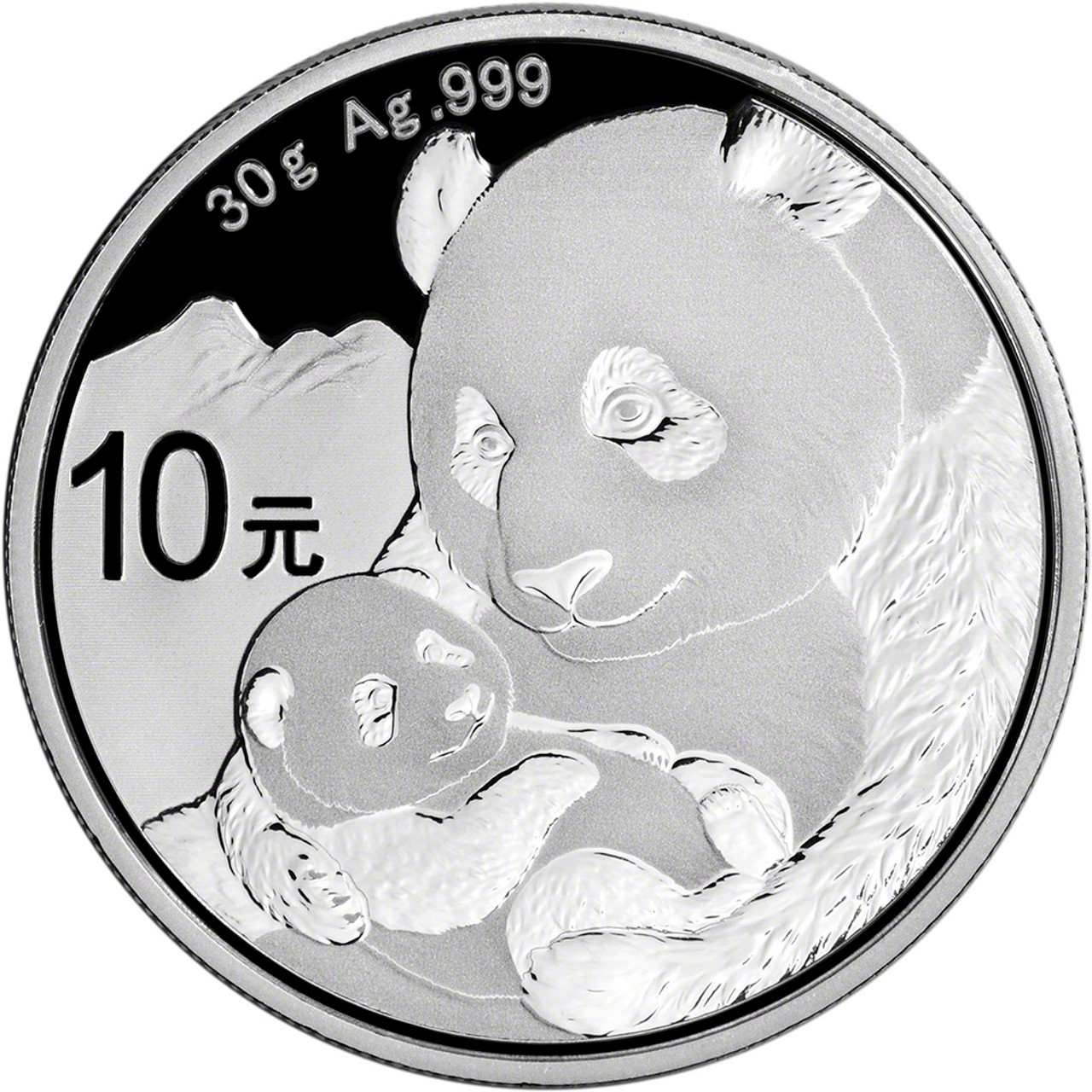 2019 China Silver Panda 30 g 10 Yuan - NGC MS70 Early Releases