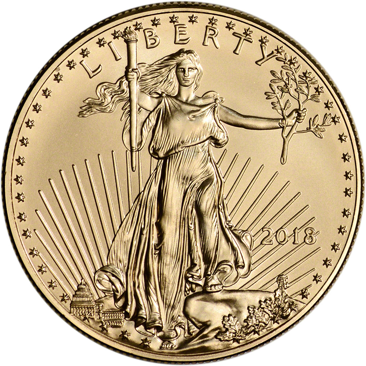 レア‼️ 2018年 NGC MS70 イーグル銀貨1オンス ゴールドコア 2018 American Gold Eagle (1 oz) $50 - NGC MS70 - Early