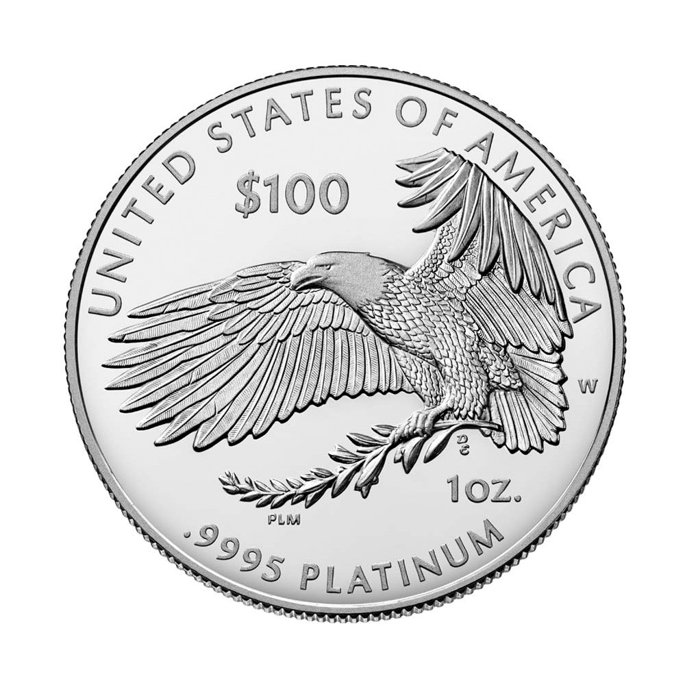 2019 W American Platinum Eagle Proof 1 oz $100 in OGP [US-19-W-APE