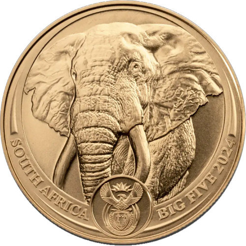 2024 South Africa Gold Big 5 Elephant 50 Rand - 1 oz - BU [24-ZA-ELEPHANT-G50-BU]