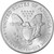 2007 American Silver Eagle 1 oz $1 - BU [07-ASE-BU]