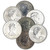 Canada Silver Maple Leaf 1 oz $5 Impaired - Random Date - Tube of 20 Coins [X-CML-IMPAIRED(20)]
