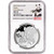 2019 China Silver Panda 30 g 10 Yuan - NGC MS70 Early Releases Ink Brush [19-CSP-N-MS70-ER-INK]