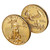 2020 W American Gold Eagle 1 oz $50 Uncirculated Coin - Burnished in OGP [US-20-W-AGE-50-BU]