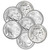 TWENTY 1 oz. Silver Round Buffalo Design Random Brand Secondary Market 999 Fine [SILVER-Rnd-1oz-BUF-RANDOM(20)]