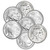 100 1 oz Silver Round Buffalo Design Random Brand Secondary Market 999 Fine [SILVER-Rnd-1oz-BUF-RANDOM(100)]