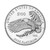 2022 W American Platinum Eagle Proof 1 oz $100 PCGS PR70 DCAM First Day of Issue [22-W-APE-P-PR70-FDI-FOIL]