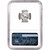 1997 American Platinum Eagle 1/10 oz $10 - NGC MS70 [97-APE-10-N-MS70-NSL]