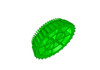 Fidgipod Sensory Dome