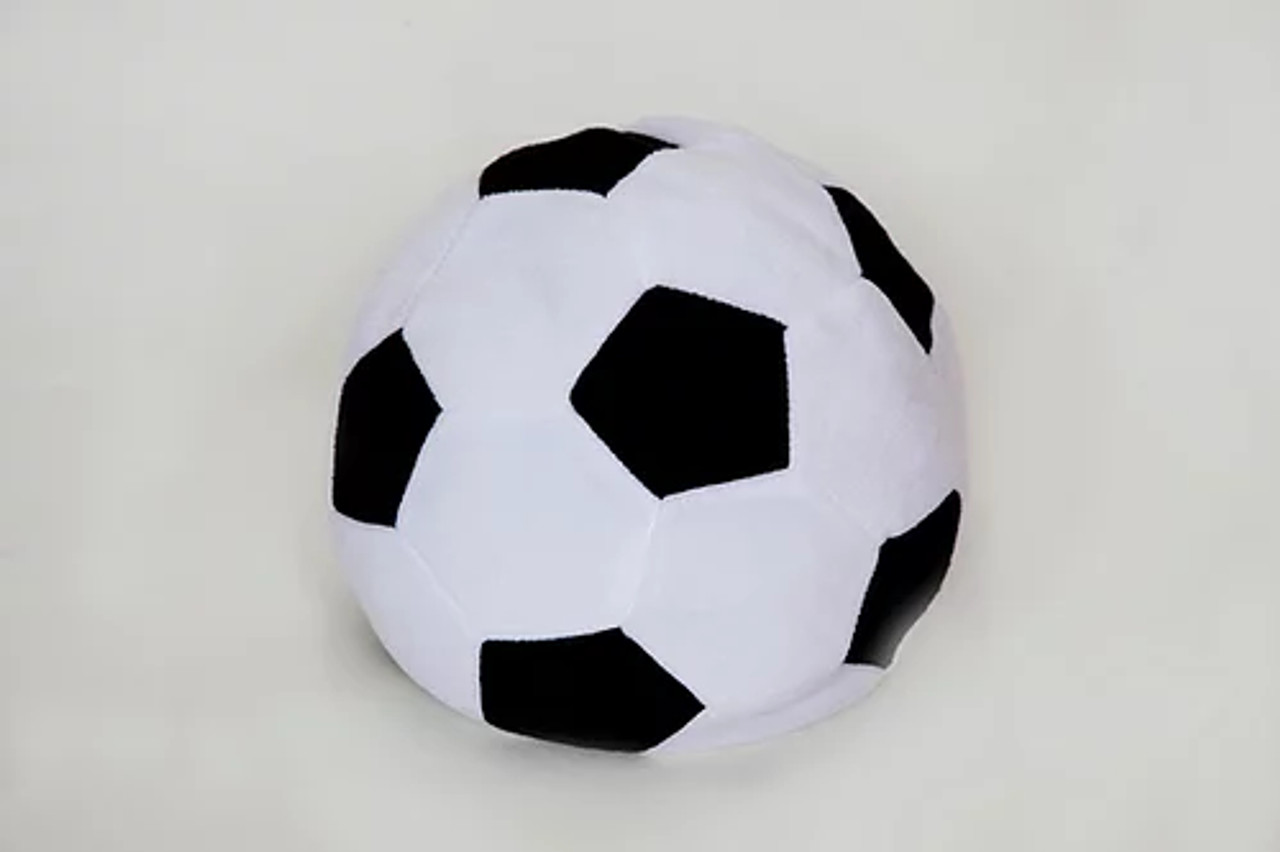 Weighted Sports Balls for Occupational Physical Therapy