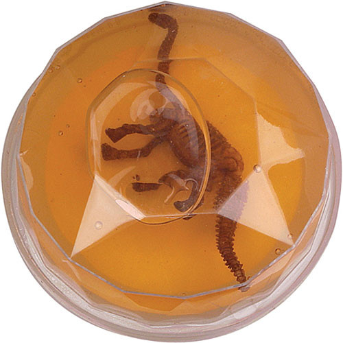 Dinosaur Fossil Putty Sensory University, Inc.