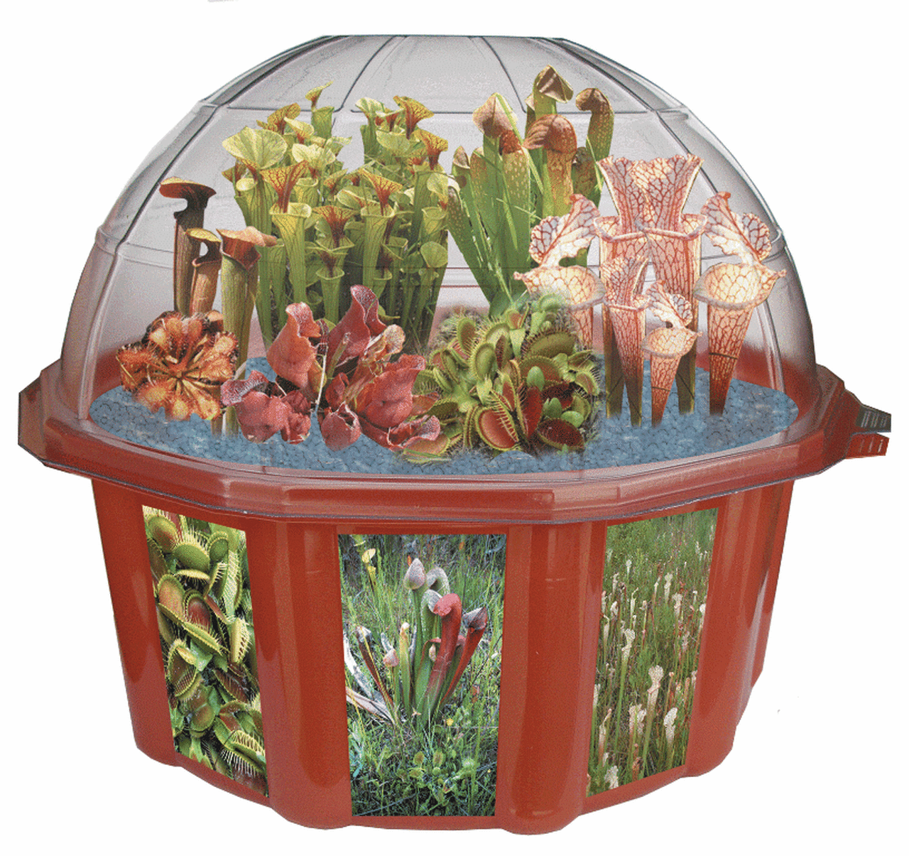 Sensory University, Inc. Brands