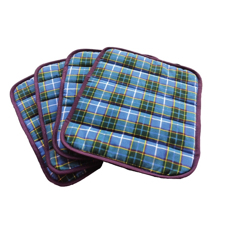 blue tartan placemat