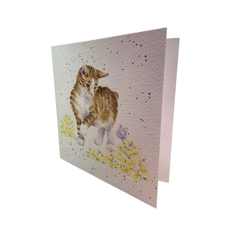 Manx Cat Greeting Card