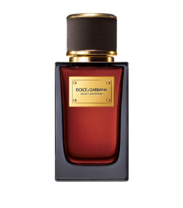 Dolce & Gabbana Velvet Zafferano Eau de Parfum 100ml Spray
