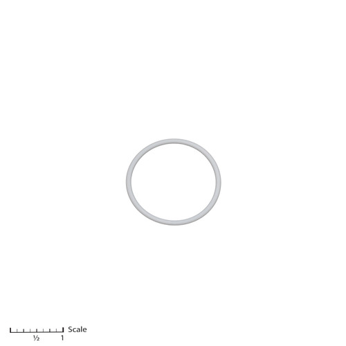 Teflon O-Ring [15-507]