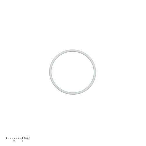 Teflon O-Ring [15-2395]